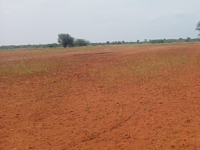 Agricultural Land 1 Acre for Sale in Kariapatti, Madurai