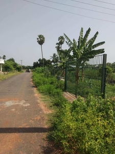 Agricultural Land 1 Acre for Sale in Reddiyarchatram, Dindigul