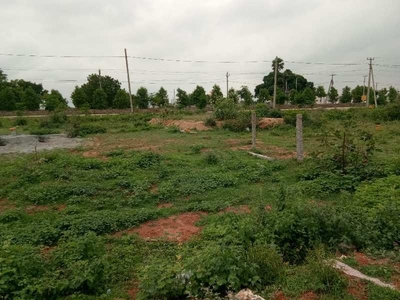 Agricultural Land 1 Ares for Sale in Peddapuram, East Godavari
