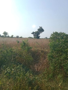 Agricultural Land 10 Acre for Sale in mahodiya Sehore