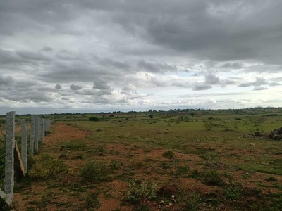 Agricultural Land 100 Acre for Sale in Hindupur, Anantapur