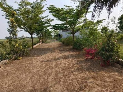 Agricultural Land 1000 Sq. Yards for Sale in Dwarka Expressway, Gurgaon