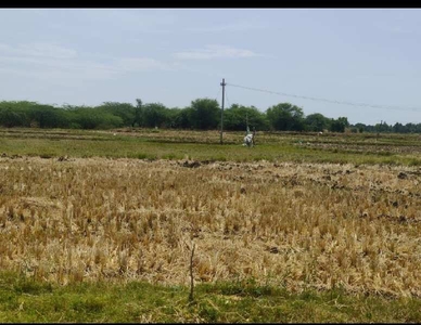 Agricultural Land 104 Sq. Yards for Sale in Domakonda, Nizamabad