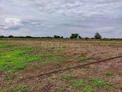 Agricultural Land 12 Acre for Sale in Jumanal, Bijapur