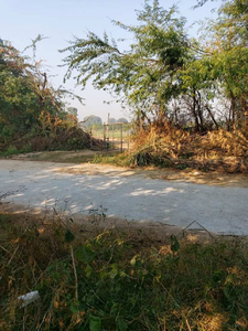 Agricultural Land 1210 Sq. Yards for Sale in Shanti Nagar, Rewari