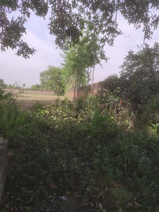 Agricultural Land 1300 Sq. Meter for Sale in Bhawal Khera, Shahjahanpur
