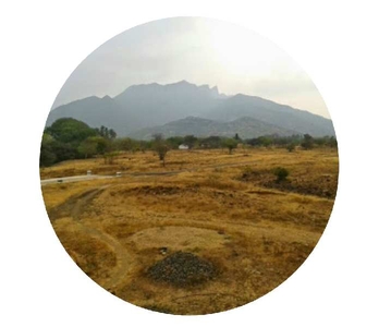 Agricultural Land 14 Acre for Sale in Thottiyam, Tiruchirappalli