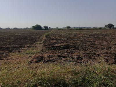 Agricultural Land 140 Acre for Sale in Kolar Road, Bhopal