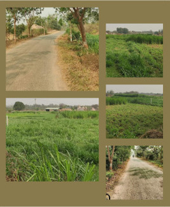 Agricultural Land 17 Guntha for Sale in