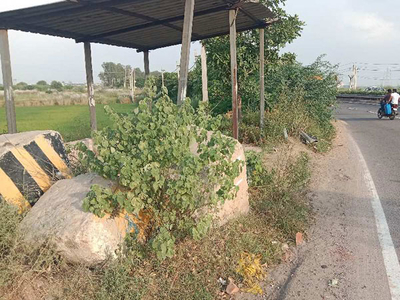 Agricultural Land 2 Acre for Sale in Badsa, Jhajjar