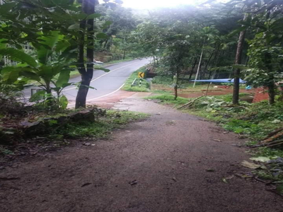 Agricultural Land 2 Acre for Sale in Cheruthazham, Kannur