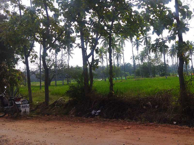 Agricultural Land 2 Acre for Sale in Nanjangud, Mysore