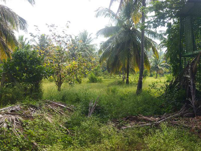 Agricultural Land 2 Acre for Sale in Nanjangud, Mysore