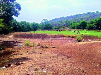 Agricultural Land 200 Sq. Yards for Sale in Lankelapalem, Visakhapatnam