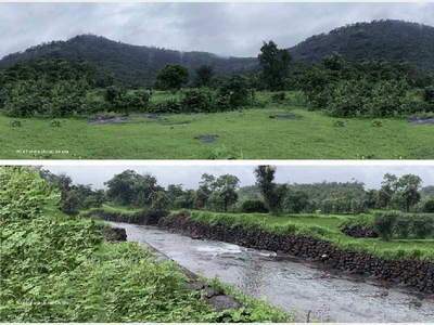 Agricultural Land 20000 Sq.ft. for Sale in Sudhagad, Raigad