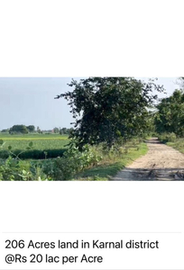 Agricultural Land 210 Acre for Sale in GT Road, Karnal