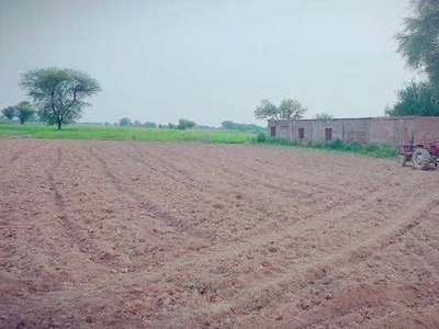 Agricultural Land 233 Marla for Sale in Nanda Chaur Village Hoshiarpur