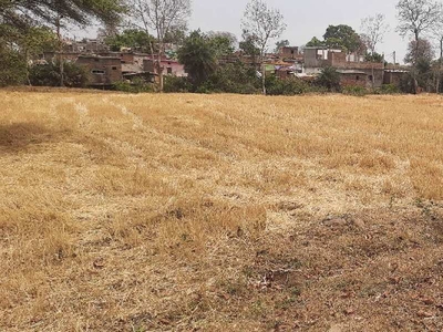 Agricultural Land 3 Acre for Sale in Amarwara, Chhindwara