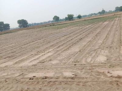 Agricultural Land 3 Acre for Sale in Sector 92 Gurgaon