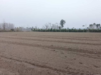 Agricultural Land 32 Bigha for Sale in