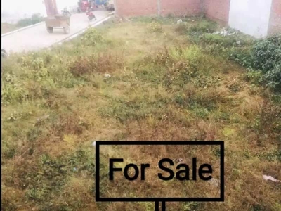 Agricultural Land 3600 Sq.ft. for Sale in Bandia, Udham Singh Nagar