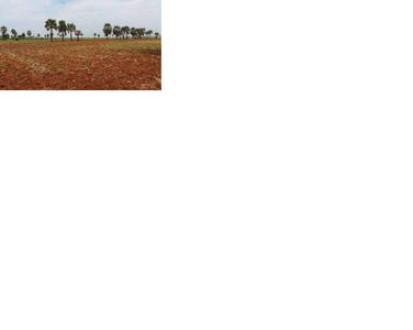 Agricultural Land -4 Acre for Sale in