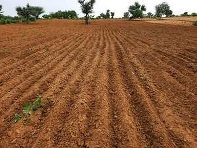 Agricultural Land 4 Bigha for Sale in