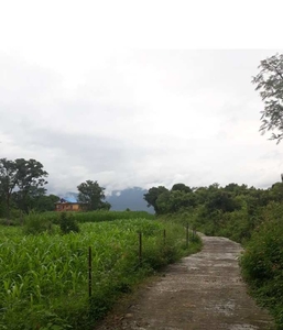 Agricultural Land 400 Marla for Sale in Baijnath, Kangra