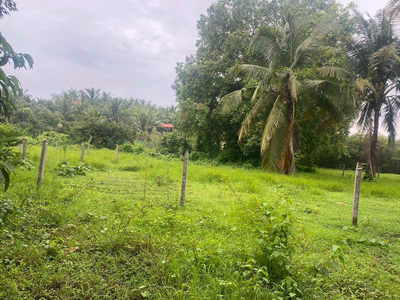 Agricultural Land 5500 Sq.ft. for Sale in