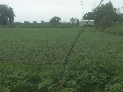 Agricultural Land 6 Acre for Sale in Chandur, Amravati