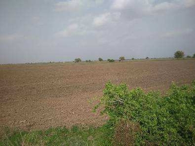 Agricultural Land 600 Acre for Sale in