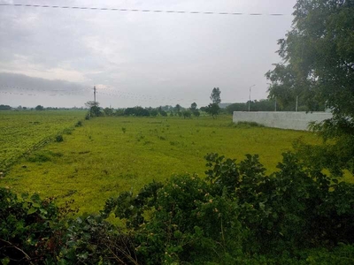Agricultural Land 60985 Sq.ft. for Sale in Parasia, Chhindwara