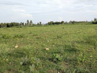 Agricultural Land 7 Bigha for Sale in Biharigarh, Dehradun