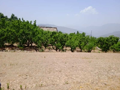 Agricultural Land 7000 Sq. Meter for Sale in