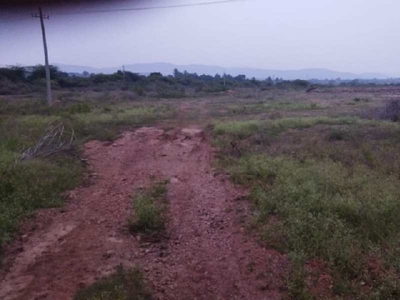 Agricultural Land 80 Acre for Sale in Challakere, Chitradurga