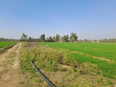 Agricultural Land 80000 Sq.ft. for Sale in Amleshwar, Raipur
