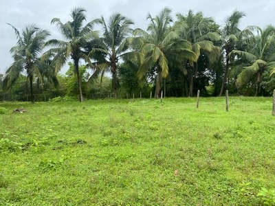 Agricultural Land 8400 Sq.ft. for Sale in
