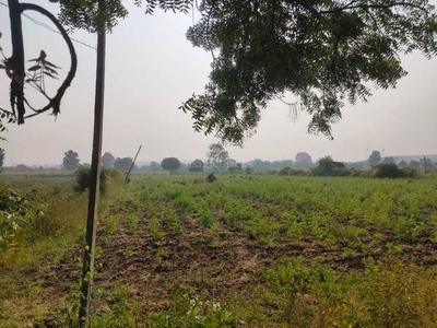 Agricultural Land 9 Acre for Sale in Samudrapur, Wardha
