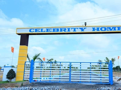 Celebrity Homes