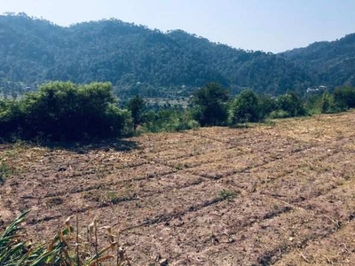 Commercial Land 71 Bigha for Sale in