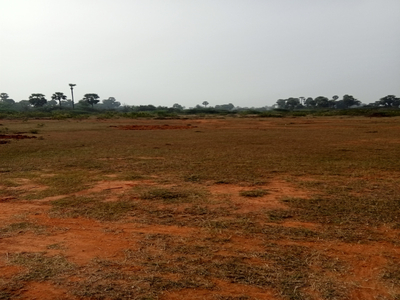 Industrial Land 10 Acre for Sale in Anakapalle, Visakhapatnam