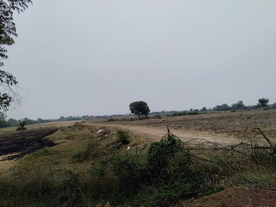Industrial Land 20 Ares for Sale in Dahej, Bharuch