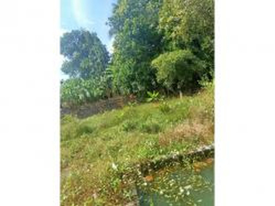 Residential Plot 137 Cent for Sale in Velanthavalam, Palakkad