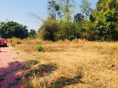 Residential Plot 15 Cent for Sale in Peruvemba, Palakkad