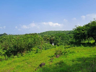 Residential Plot 2 Acre for Sale in Agarsure,