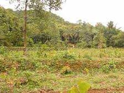 Residential Plot 200 Cent for Sale in Mayannur, Thrissur