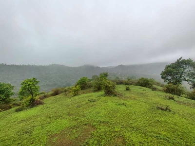 Residential Plot 3 Acre for Sale in Kasara, Thane