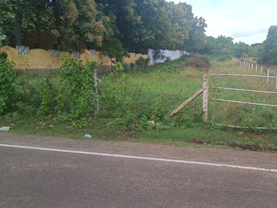 Residential Plot 31 Cent for Sale in Courtallam, Tirunelveli