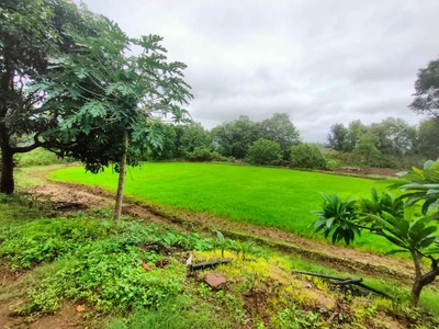 Residential Plot 4 Acre for Sale in Kasara, Thane
