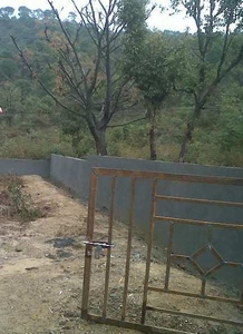 Residential Plot 510 Sq. Meter for Sale in Palampur, Kangra